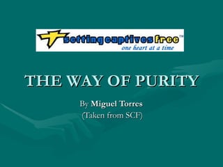 THE WAY OF PURITY By  Miguel Torres  (Taken from SCF) 