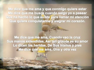 Hay Esperanza En Dios