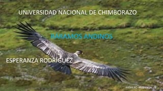 RÁRAMOS ANDINOS
UNIVERSIDAD NACIONAL DE CHIMBORAZO
ESPERANZA RODRÍGUEZ
PRIMERO AMBIENTAL “B”
 