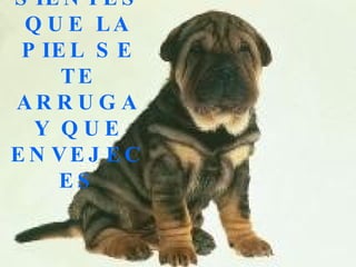 SIENTES QUE LA PIEL SE TE ARRUGA Y QUE ENVEJECES 