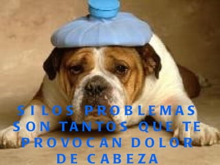 SI LOS PROBLEMAS SON TANTOS QUE TE PROVOCAN DOLOR DE CABEZA