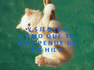 Y SIENTES COMO QUE TU VIDA PENDE DE UN HILO