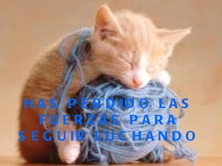 HAS PERDIDO LAS FUERZAS PARA SEGUIR LUCHANDO