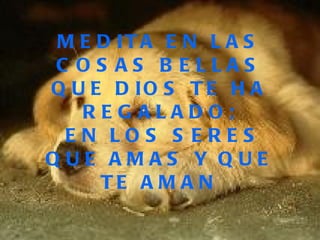 MEDITA EN LAS COSAS BELLAS QUE DIOS TE HA REGALADO; EN LOS SERES QUE AMAS Y QUE TE AMAN