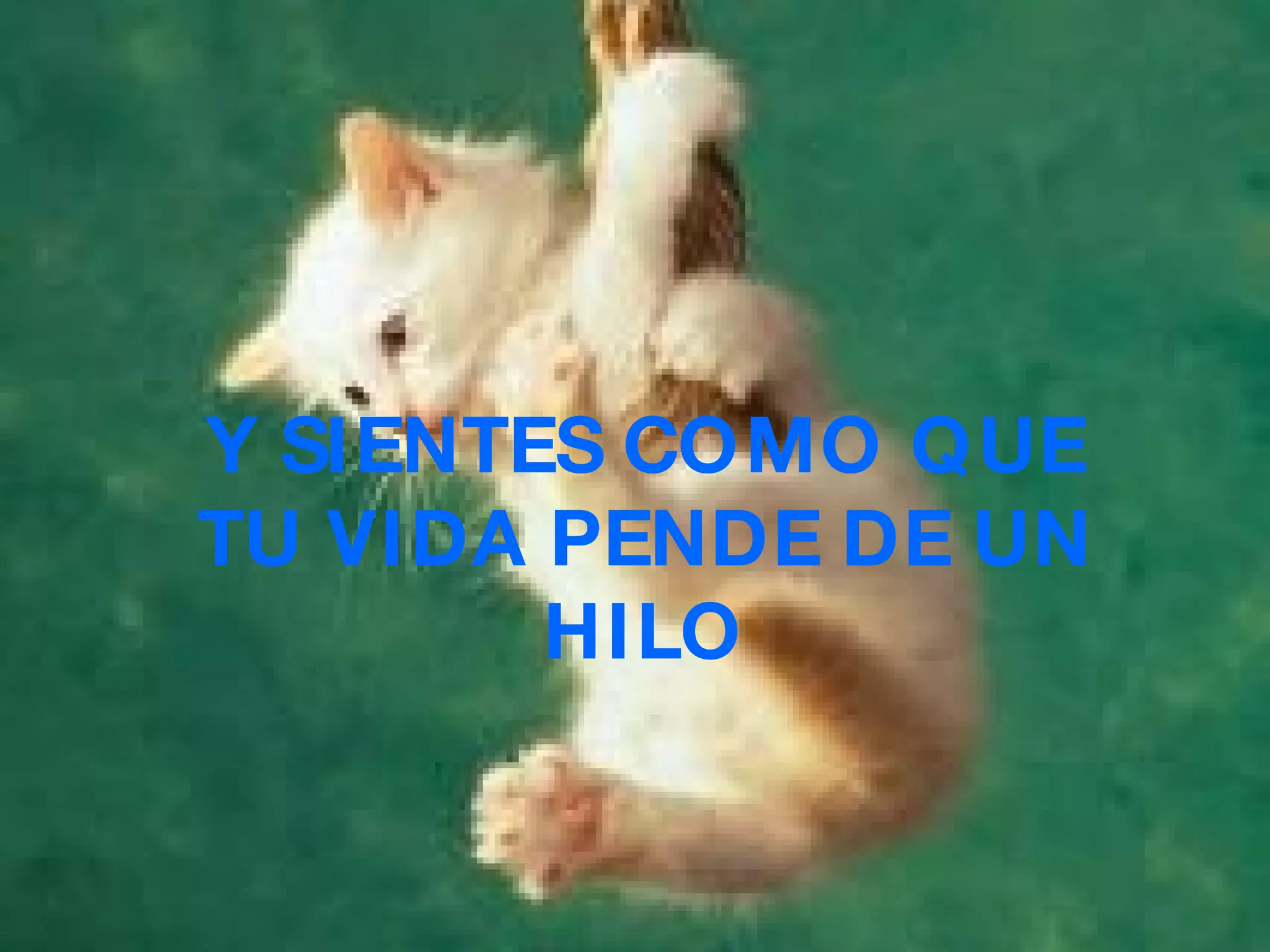 Y SIENTES COMO QUE TU VIDA PENDE DE UN HILO