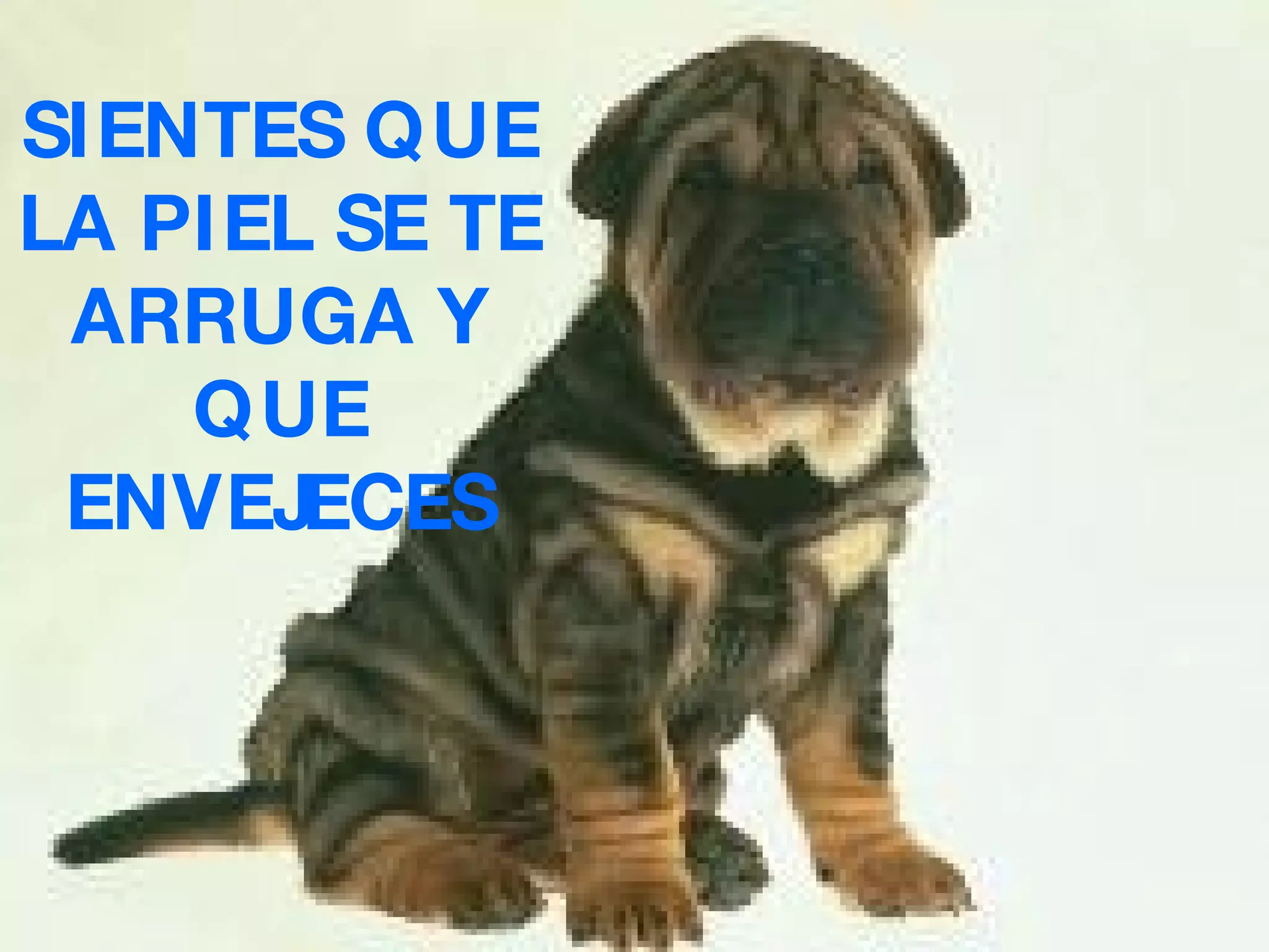 SIENTES QUE LA PIEL SE TE ARRUGA Y QUE ENVEJECES