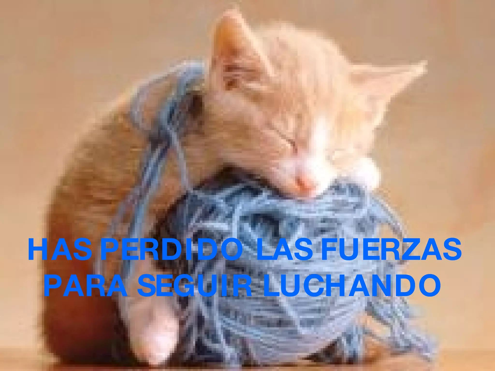 HAS PERDIDO LAS FUERZAS PARA SEGUIR LUCHANDO