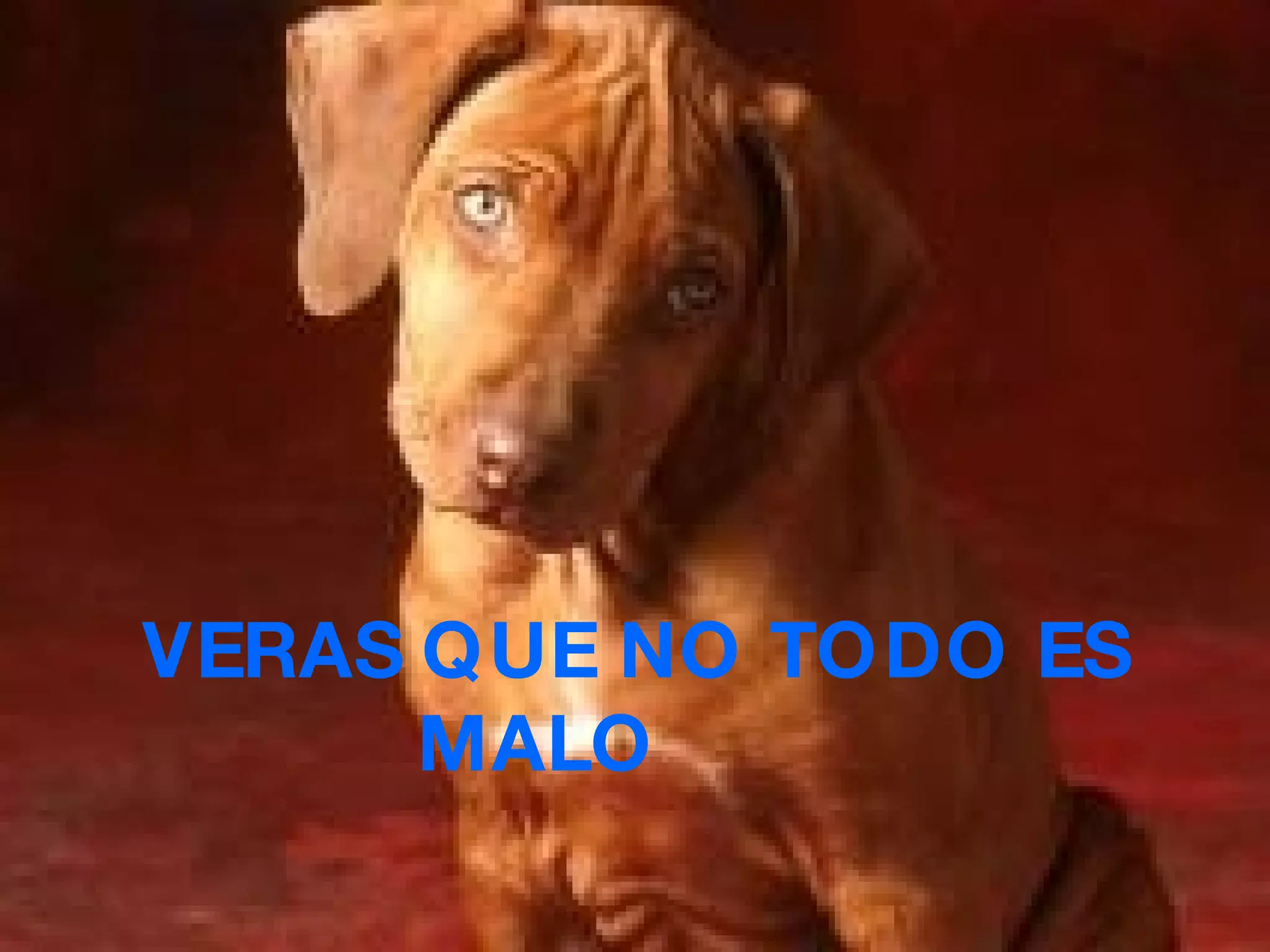 VERAS QUE NO TODO ES MALO