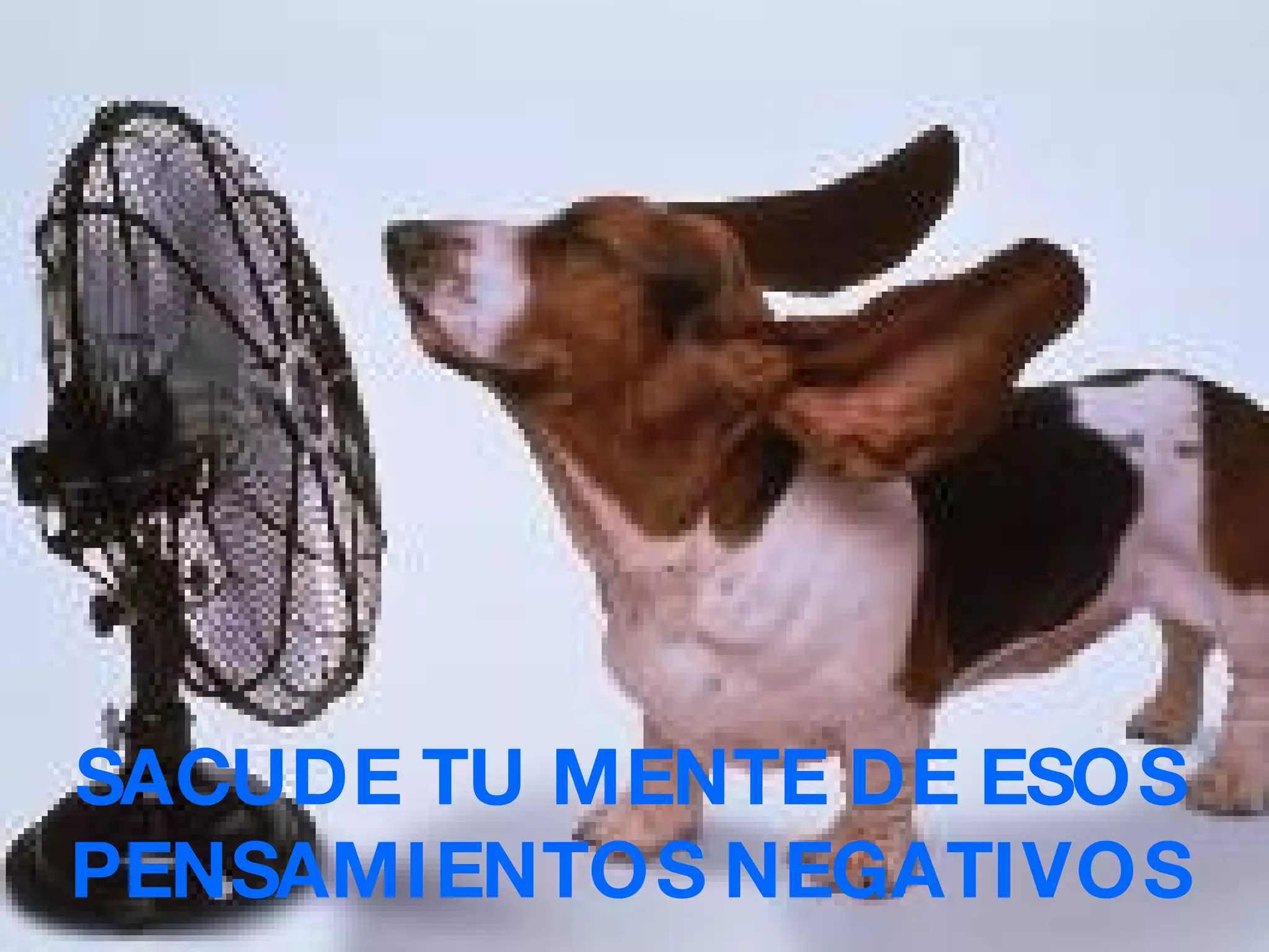 SACUDE TU MENTE DE ESOS PENSAMIENTOS NEGATIVOS