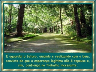 E aguardai o futuro, amando e realizando com o bem, convicto de que a esperança legítima não é repouso e, sim, confiança no trabalho incessante. 