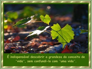 É indispensável descobrir a grandeza do conceito de ¨vida¨, sem confundi-lo com ¨uma vida¨. 