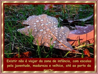 Existir não é viajar da zona de infância, com escalas pela juventude, madureza e velhice, até ao porto da morte; 