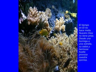 El tiempo en El no  hace mella.  Nuestro Dios no tiene prisa.  Desde una hormiga a  una estrella, su sabia y hermosa huella  provoca nuestra sonrisa.  