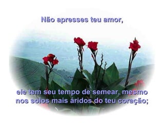 ele tem seu tempo de semear, mesmoele tem seu tempo de semear, mesmo
nos solos mais áridos do teu coração;nos solos mais áridos do teu coração;
Não apresses teu amor,Não apresses teu amor,
 
