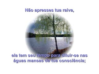 ela tem seu tempo para diluir-se nasela tem seu tempo para diluir-se nas
águas mansas da tua consciência;águas mansas da tua consciência;
Não apresses tua raiva,Não apresses tua raiva,
 