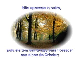 pois ele tem seu tempo para florescerpois ele tem seu tempo para florescer
aos olhos do Criador;aos olhos do Criador;
Não apresses o outro,Não apresses o outro,
 