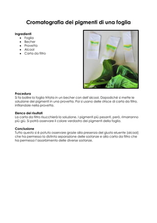 Cromatografia dei pigmenti di una foglia

Ingredienti
      Foglia
      Becher
      Provetta
      Alcool
      Carta da filtro




Procedura
Si fa bollire la foglia tritata in un becher con dell’alcool. Dopodiché si mette le
soluzione dei pigmenti in una provetta. Poi si usano delle strisce di carta da filtro,
infilandole nella provetta.

Elenco dei risultati
La carta da filtro risucchierà la soluzione. I pigmenti più pesanti, però, rimarranno
più giù. Si potrà osservare il colore verdastro dei pigmenti della foglia.

Conclusione
Tutto questo si è potuto osservare grazie alla presenza del giusto eluente (alcool)
che ha permesso la distinta separazione delle sostanze e alla carta da filtro che
ha permesso l’assorbimento delle diverse sostanze.
 