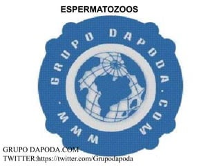 ESPERMATOZOOS




GRUPO DAPODA.COM
TWITTER:https://twitter.com/Grupodapoda
 