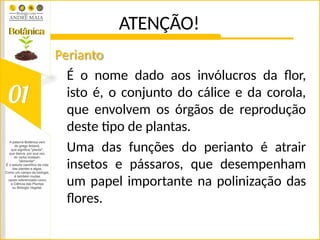 ATENÇÃO!
Perianto
É o nome dado aos invólucros da flor,
isto é, o conjunto do cálice e da corola,
que envolvem os órgãos de reprodução
deste tipo de plantas.
Uma das funções do perianto é atrair
insetos e pássaros, que desempenham
um papel importante na polinização das
flores.
 