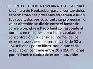 RECUENTO O CUENTA ESPERMÁTICA: Se utiliza
la cámara de Neubauber para el conteo delos
espermatozoides presentes en semen diluido.
Los resultados por cuadrante se promedian, el
valor obtenido se divide entre el factor de
conversión, el resultado final corresponde al
número en millones por ml de eyaculado o
concentración. La densidad normal de los
espermatozoides en el semen varía de 50 a
150 millones por mililitro, por lo que cada
eyaculación contiene entre 20 a 150 millones
por milímetro cúbico de espermatozoides

 