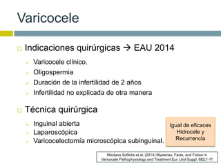 Varicocele 
 Indicaciones quirúrgicas  EAU 2014 
 Varicocele clínico. 
 Oligospermia 
 Duración de la infertilidad de 2 años 
 Infertilidad no explicada de otra manera 
Nikolaos Sofikitis et al, (2014) Mysteries, Facts, and Fiction in 
Varicocele Pathophysiology and Treatment Eur. Urol Suppl. 682;1-11 
 Técnica quirúrgica 
 Inguinal abierta 
 Laparoscópica 
 Varicocelectomía microscópica subinguinal. 
Igual de eficaces 
Hidrocele y 
Recurrencia 
 