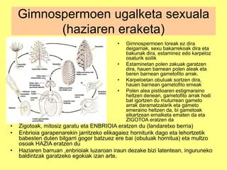 Gimnospermoen ugalketa sexuala
(haziaren eraketa)
• Gimnospermoen loreak ez dira
deigarriak, sexu bakarrekoak dira eta
bakunak dira, estaminez edo karpeloz
osaturik soilik
• Estaminetan polen zakuak garatzen
dira, hauen barnean polen aleak eta
beren barnean gametofito arrak.
• Karpeloetan obuluak sortzen dira,
hauen barnean gametofito emeak
• Polen alea pistiloaren estigmaraino
heltzen denean, gametofito arrak hodi
bat igortzen du muturrean gameto
arrak daramatzalarik eta gameto
emeraino heltzen da, bi gametoak
elkartzean ernalketa ematen da eta
ZIGOTOA eratzen da
• Zigotoak, mitosiz garatu eta ENBRIOIA eratzen du (landaretxo berria)
• Enbrioia garapenarekin jarritzeko elikagaiez horniturik dago eta lehortzetik
babesten duten bilgarri gogor batzuez ere bai (obuluak hornitua) eta multzo
osoak HAZIA eratzen du
• Haziaren barruan ,enbrioiak luzaroan iraun dezake bizi latentean, inguruneko
baldintzak garatzeko egokiak izan arte.
 
