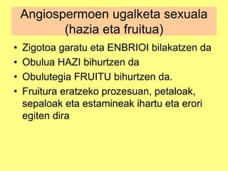 • Zigotoa garatu eta ENBRIOI bilakatzen da
• Obulua HAZI bihurtzen da
• Obulutegia FRUITU bihurtzen da.
• Fruitura eratzeko prozesuan, petaloak,
sepaloak eta estamineak ihartu eta erori
egiten dira
Angiospermoen ugalketa sexuala
(hazia eta fruitua)
 