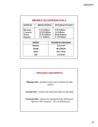 28/03/2011
19
PRODUÇÃO ESPERMÁTICAPRODUÇÃO ESPERMÁTICA
ESPÉCIE VOLUME DE EJACULADO
Homem 2,5 a 6 ml
Cavalo 40 a 250 ml
Touro 0,5 a 14 ml
Cao 2 a 12 ml
Alterações espermáticasAlterações espermáticas
Oligospermia - produção menor que o mínimo de cada
espécie
Azoospermia - ausência de espermatozóides no ejaculado
Teratospermia - número de espermatozóides defeituosos
superior a 40% (normal = 10% de defeituosos)
 