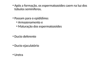 • Após a formação, os espermatozoides caem na luz dos
túbulos seminíferos.
• Passam para o epidídimo:
• Armazenamento e
• Maturação dos espermatozoides
• Ducto deferente
• Ducto ejaculatório
• Uretra
 