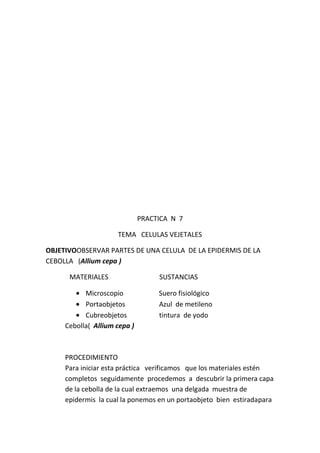 PRACTICA N 7
TEMA CELULAS VEJETALES
OBJETIVOOBSERVAR PARTES DE UNA CELULA DE LA EPIDERMIS DE LA
CEBOLLA (Allium cepa )
MATERIALES
Microscopio
Portaobjetos
Cubreobjetos
Cebolla( Allium cepa )

SUSTANCIAS
Suero fisiológico
Azul de metileno
tintura de yodo

PROCEDIMIENTO
Para iniciar esta práctica verificamos que los materiales estén
completos seguidamente procedemos a descubrir la primera capa
de la cebolla de la cual extraemos una delgada muestra de
epidermis la cual la ponemos en un portaobjeto bien estiradapara

 