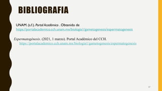 17
BIBLIOGRAFIA
UNAM. (s.f.). Portal Académico . Obtenido de
https://portalacademico.cch.unam.mx/biologia1/gametogenesis/espermatogenesis
Espermatogénesis. (2021, 1 marzo). Portal Académico del CCH.
https://portalacademico.cch.unam.mx/biologia1/gametogenesis/espermatogenesis
 