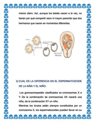 mismo útero. Así, aunque los bebés nacen a la vez, no
tienen por qué compartir sexo ni mayor parecido que dos
hermanos que nacen en momentos diferentes.

2) CUAL ES LA DIFERENCIA EN EL ESPERMATOZOIDE
DE LA NIÑA Y EL NIÑO.
Los gomosomasestán clasificados en cromosomas X e
Y. De la combinación de cromosomas XX nacerá una
niña, de la combinación XY un niño.
Mientras los óvulos están siempre constituidos por un
cromosoma X, los espermatozoides pueden llevar en su

 