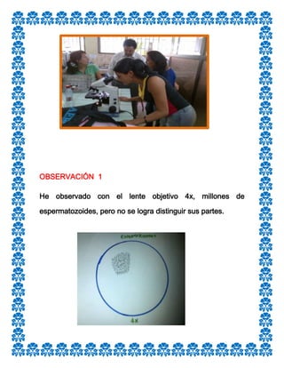 OBSERVACIÓN 1
He observado con el lente objetivo 4x, millones de
espermatozoides, pero no se logra distinguir sus partes.

 