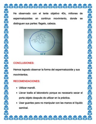 He observado con el lente objetivo 40x, millones de
espermatozoides

en

continuo

movimiento,

donde

se

distinguen sus partes: flagelo, cabeza.

CONCLUSIONES:
Hemos logrado observar la forma del espermatozoide y sus
movimientos.
RECOMENDACIONES:
Utilizar mandil.
Llevar toalla al laboratorio porque es necesario secar el
porta objeto después de utilizar en la práctica.
Usar guantes para no manipular con las manos el líquido
seminal.

 