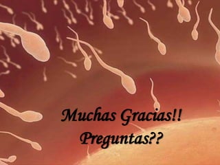 Muchas Gracias!!
Preguntas??
 