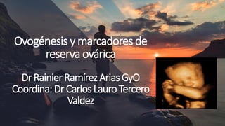 Ovogénesis y marcadores de
reserva ovárica
DrRainierRamírezAriasGyO
Coordina:Dr CarlosLauroTercero
Valdez
 