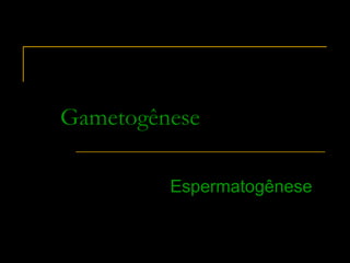 Gametogênese

         Espermatogênese
         Espermatogênese
 
