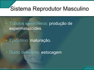Sistema Reprodutor Masculino
• Túbulos seminíferos: produção de
espermatozoides.
• Epidídimo: maturação.
• Ducto deferente: estocagem

 
