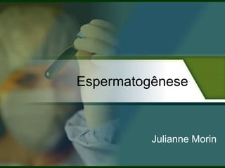 Espermatogênese

Julianne Morin

 