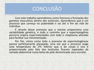 CONCLUSÃO
Com este trabalho aprendemos como funciona a formação dos
gametas masculinos dentro dos testículos. Aprendemos que é um
processo que começa na puberdade e vai até o fim da vida do
indivíduo.
É através desse processo que a meiose proporciona uma
variabilidade genética, e todo o caminho que a espermatogônia
percorre origina espermatozóides com todo o citoplasma alterado
para facilitar sua movimentação.
Por fim, vimos como todo o processo de espermatogênese
parece perfeitamente planejado, uma vez que o processo exige
uma temperatura de 1ºC inferior que a do corpo e isso é
proporcionado pelo fato dos testículos ficarem separados da
camada abdominal numa bolsa de pele denominada saco escrotal.
 