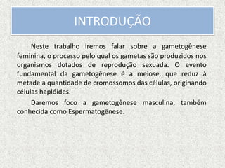 INTRODUÇÃO
Neste trabalho iremos falar sobre a gametogênese
feminina, o processo pelo qual os gametas são produzidos nos
organismos dotados de reprodução sexuada. O evento
fundamental da gametogênese é a meiose, que reduz à
metade a quantidade de cromossomos das células, originando
células haplóides.
Daremos foco a gametogênese masculina, também
conhecida como Espermatogênese.
 