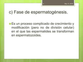 May 13, 20165
c) Fase de espermatogénesis.
Es un proceso complicado de crecimiento y
modificación (pero no de división celular)
en el que las espermatides se transforman
en espermatozoides.
 