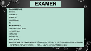 EXAMEN
• MACROSCOPICO:
• COLOR
• VOLUMEN
• ASPECTO
• VISCOSIDAD
• PH
• MICROSCOPICO
• CÉLULAS EPITELIALES
• -LEUCOCITOS
• HEMATÍES-
• PARÁSITOS -
• AGLUTACION
• RECUENTO DE ESPERMATOZOIDES -CÁMARAS DE RECUENTO ESPECÍFICAS COMO LA DE MAKLER
• -REPORTE SE REALIZA POR CM3 -----TOTAL= VOL * # ESPERMATOZOIDES CM3
 