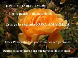 ESPERO ME LA DEVUELVAS!!!!!


    Leelo, pasalo y devuelvelo!!!!


 Esta es la sagrada ROSA AMARILLA.



Debes Pasar esta rosa por lo menos a 5 personas

Dentro de la primera hora que hayas leído el E-mail.
 