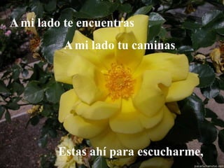 A mi lado te encuentras
         A mi lado tu caminas,




        Estas ahí para escucharme,
 