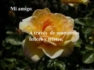 Mi amigo , A   través  de momentos felices y tristes, 