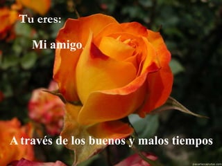 Tu eres:   Mi amigo , A   través de los buenos y malos tiempos 