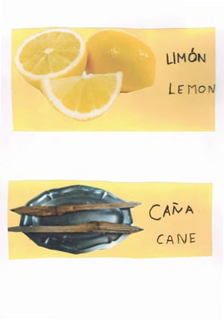 L

Lt

CA~ A

. CANE

 