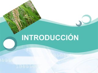 INTRODUCCIÓN
 