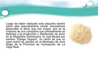 Luego  de  haber  realizado  esta  pequeña  reseña 
sobre  este  importantísimo  cereal,  procedemos 
desarrollar  el  tema  que  nos  ocupa,  que  es  la 
creación de una compañía que precisamente se 
dedicará  a la producción y distribución de arroz 
en  la  República  Dominicana,  la  cual  llevará  por 
nombre  “Espiga  Vegana”;  en  razón  de  que  su 
casa  matriz  se  ubicará  en  el  Municipio  de  Jima 
Abajo  de  la  Provincia  de  Concepción  de  La 
Vega Real. 
 